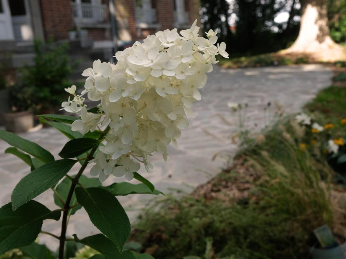 Mille Et Une Feuilles Saint-Martin-Lez-Tatinghem Exterior photo